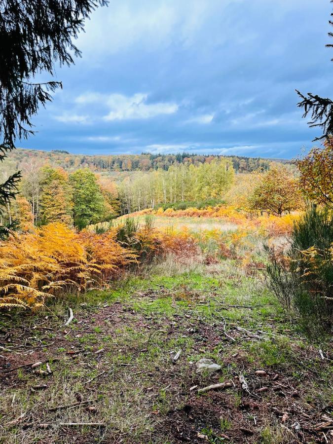 La Petite Passerelle A Mouzaive Vresse-sur-Semois Eksteriør billede